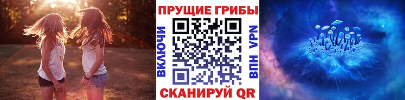 Галлюциногенные грибы GOLDEN TEACHER  Перевоз 